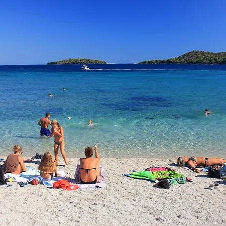 Vakantiehuis Family Friendly House With A Swimming Pool Prizba, Korcula - 9178 Blato (Korcula)