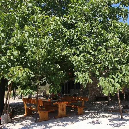 Family Friendly House With A Swimming Pool Prizba, Korcula - 9178