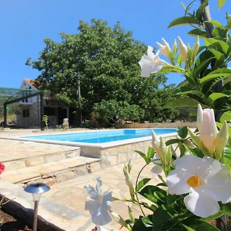 Family Friendly House With A Swimming Pool Prizba, Korcula - 9178 Holiday home *
