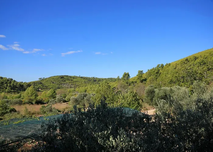 Family Friendly House With A Swimming Pool Prizba, Korcula - 9178 Blato (Korcula)